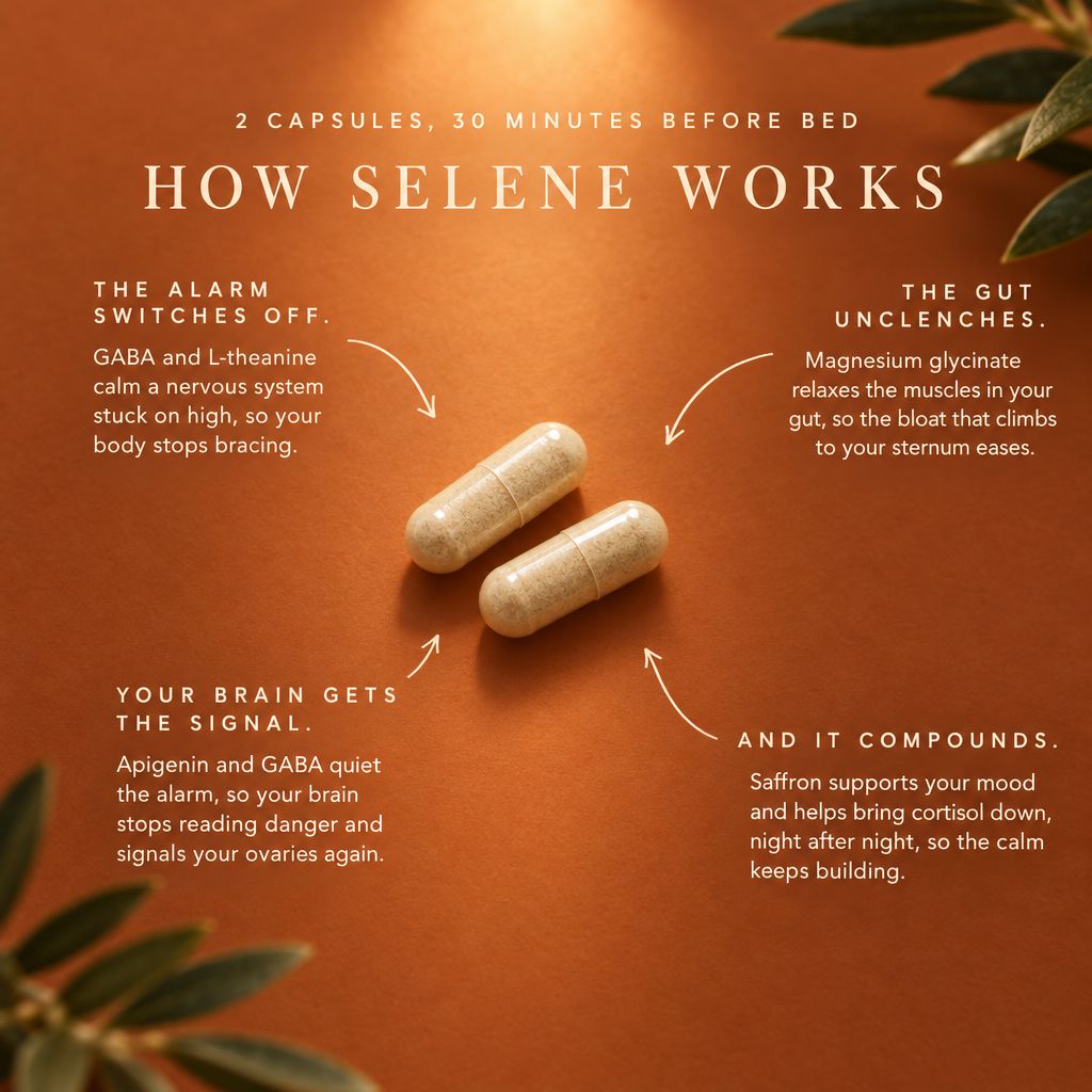 How Selene works: two capsules, 30 minutes before bed