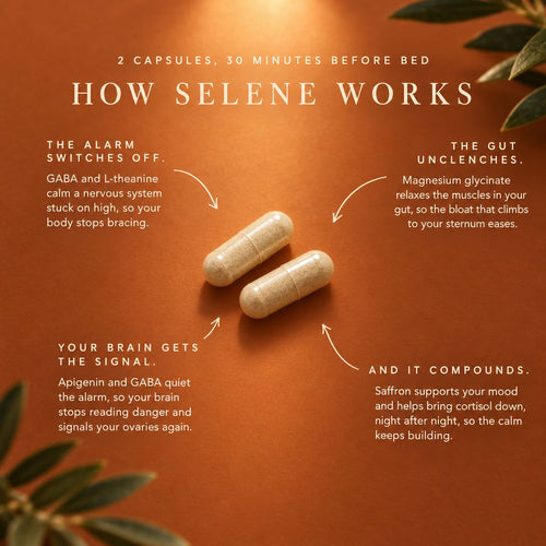How Selene works: two capsules, 30 minutes before bed